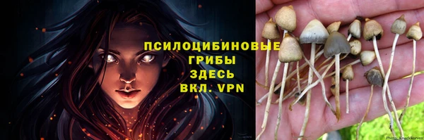 мяу мяу мука Бронницы