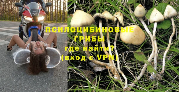 apvp Бородино