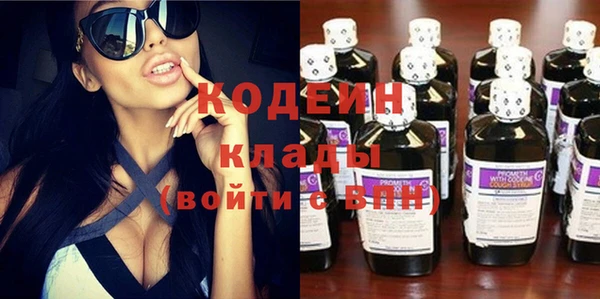 apvp Бородино