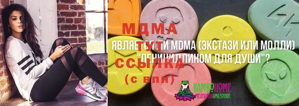apvp Бородино