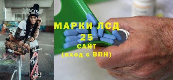 apvp Бородино