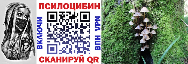 Галлюциногенные грибы Psilocybe  Купить где  Любань 